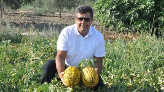 Kırkağaç Kavunu AB Coğrafi İşaret Tescilini Aldı