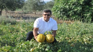 Kırkağaç Kavunu ABden tescil alan 38. ürün oldu
