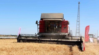 Kırklareli Valisi Turan, buğday hasadına katıldı