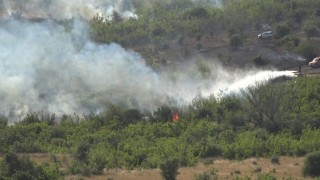 Kırklarelinde ağaçlık alanda yangın: 150 dekar alan zarar gördü