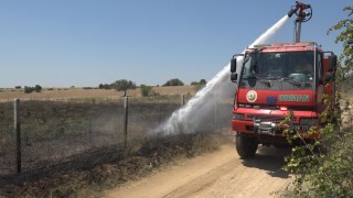 Kırklarelinde çıkan yangında 20 dekar ceviz bahçesi zarar gördü