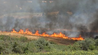 Kırklarelinde yangın: 500 dekar tarım arazisi ve ağaçlık alan zarar gördü
