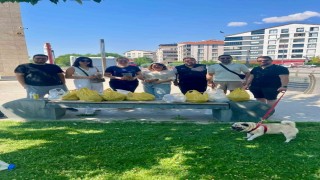 Kırşehirde sokak hayvanları için farkındalık etkinliği düzenlendi