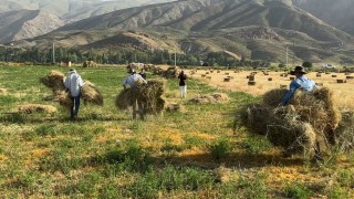Kızgın güneş altında ekmek mücadelesi