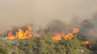Kocaeli itfaiyesinden Sakaryaya destek