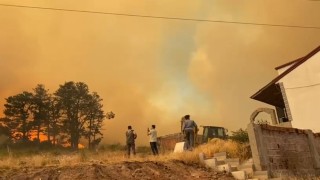 Kocaelide çıkan orman yangını büyüyor