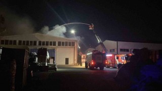 Kocaelide kimya firmasında yangın