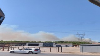 Kocaelide ormanlık alanda yangın çıktı