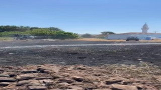 Kocaelide tarım arazisinde yangın çıktı