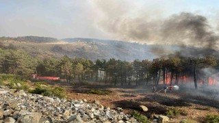 Kocaeliden Bursadaki orman yangınına söndürme desteği