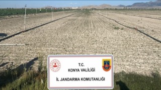 Konyada jandarmadan uyuşturucu operasyonları