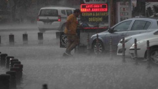 Konyada yağmur bastırdı, sücürüler zor anlar yaşadı