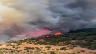 Konyadaki orman yangını kontrol altına alındı