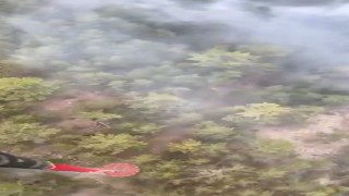 Konyadaki orman yangınına müdahale sürüyor