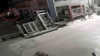 Köpeği önce aracıyla ezmeye çalıştı ardından tüfekle vurarak felç bıraktı