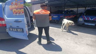 Köpeği otomobile bağlayarak çektiren şahsa ceza