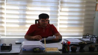 Köpekleri öldürdüğü iddiasıyla tutuklanan sanığın avukatı: Köpek öldürme, işkence yapma gibi iddialar kesinlikle yanlıştır