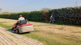 Körfezde yeşil alanlarda bakım ve çim biçme çalışması