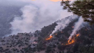 Kozandaki orman yangını kısmen kontrol altında