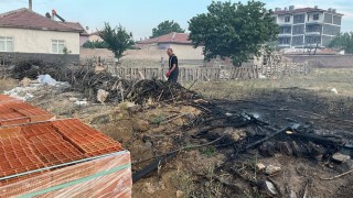 Kuluda bahçe içerisinde ağaç yangını