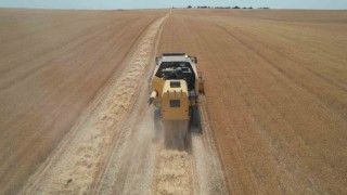 Kurak yıla rağmen umut veren hasat: Verimde yüzde 30 artış