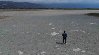 Kuraklığın etkisiyle çöle dönen Milleyhada kuş gözlemcileri gelecekten ümitli