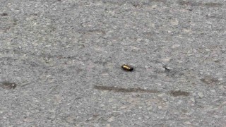 Kurusıkı tabancayla atış yapan şahıslar göz altına alındı