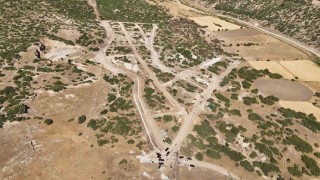 Kütahya Valisi Musa Işın: Sahipsiz hayvanların sorumluluğu artık valiliklerde