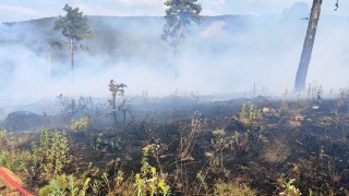 Kütahyada gençleştirme sahasında çıkan orman yangını söndürüldü