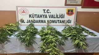 Kütahyada jandarmadan uyuşturucu operasyonu: 2 gözaltı