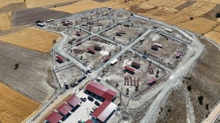 Kütahyada sahipsiz sokak hayvanlarına doğal yaşam alanı