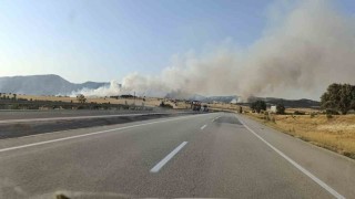 Kütahyadaki orman yangını söndürüldü