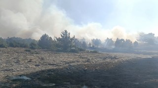 Kütahyanın Sofça köyü yakınlarındaki orman yangını korkuttu