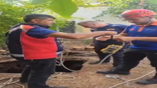 Kuyuya düşen yavru kediyi itfaiye personeli, oksijen tüpü kullanarak kurtardı