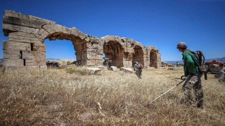 Laodikya yangın riskine karşı otlardan temizledi
