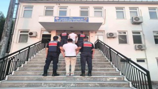 Lapsekide tarım arazisinde çıkan ormanlık alana sıçrayan yangının sebebi sigara izmariti