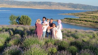 Lavanta bahçeleri fotoğraf platolarına dönüştü