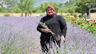 Lavanta Kokulu Hanımağalar