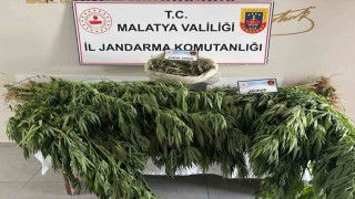 Malatyada jandarmadan uyuşturucu operasyonu