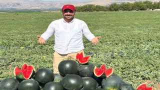 Malatyada karpuz ve kavun hasadı yüz güldürüyor