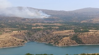 Malatyada orman yangınına havadan müdahale