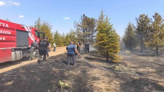 Malatyadaki orman yangını söndürüldü