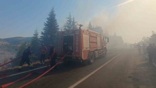 Malatyadaki orman yangınına havadan ve karadan müdahale sürüyor