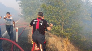 Malatyadaki orman yangınları kontrol altına alındı