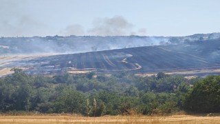 Malkarada anız yangını 200 dönümlük arazide tahribata yol açtı