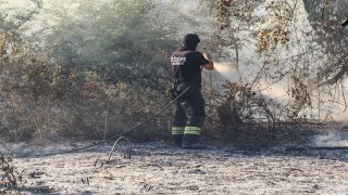 Malkarada ormana sıçrayan anız yangını kontrol altına alındı