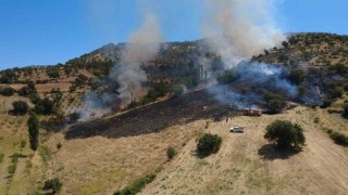 Manisa Demircideki orman yangını söndürüldü