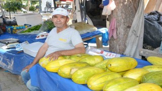 Manisada Altınbaş Kavununda hasat başladı