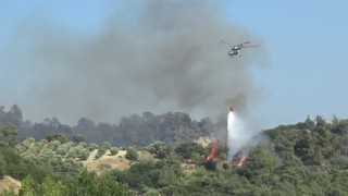 Manisadaki alevlere 5 uçak ve 7 helikopterle müdahale