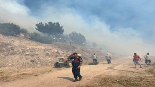 Manisadaki orman yangını kontrol altına alındı